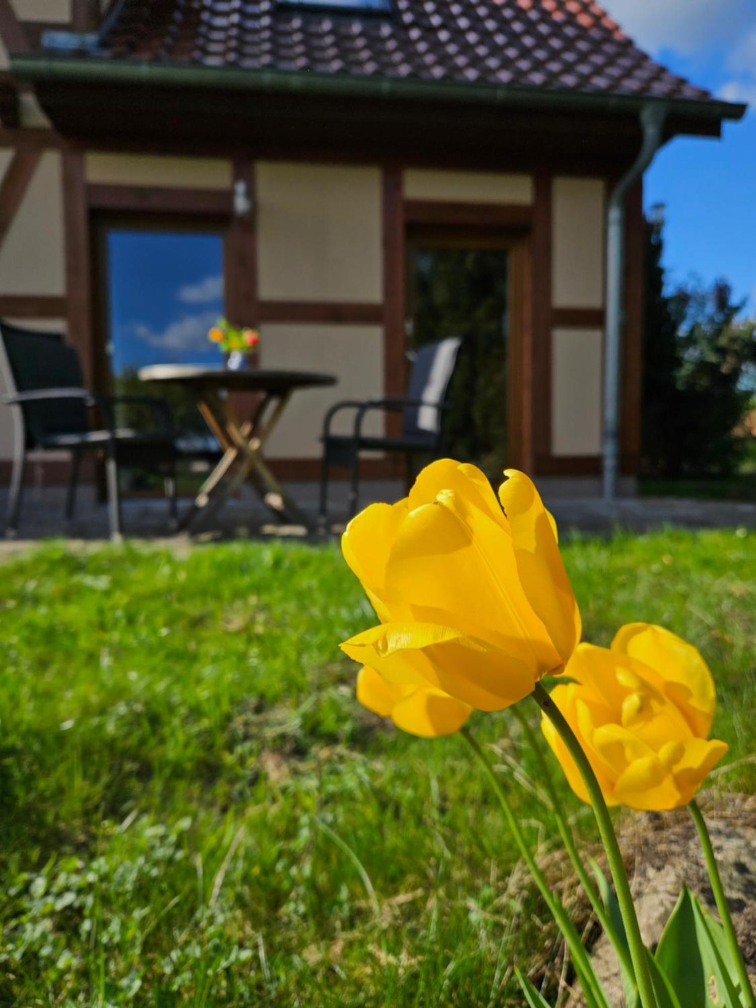 Ferienwohnung Peetsch Am See Миров Екстериор снимка